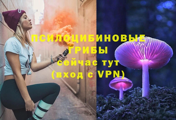 первитин Алексин
