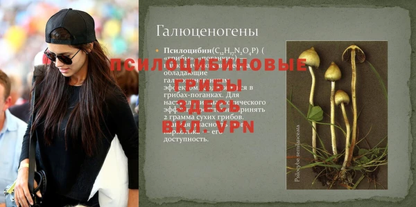 мет Абаза