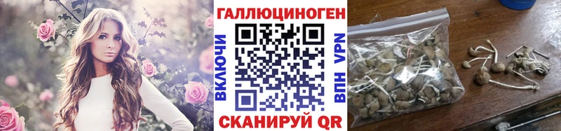закладка  Кемерово  Галлюциногенные грибы Magic Shrooms 